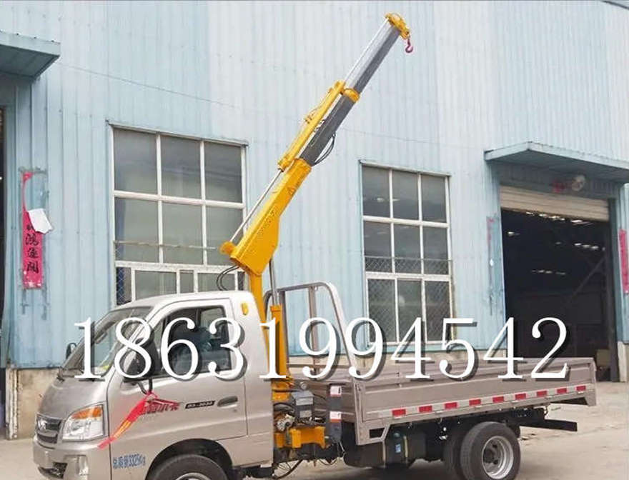 平镇区车载吊机吊车移动起重机小吊机220V车载吊机小型小吊机220V平镇区附近